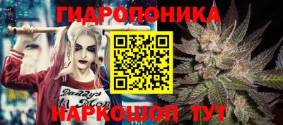 гашишное масло Новозыбков