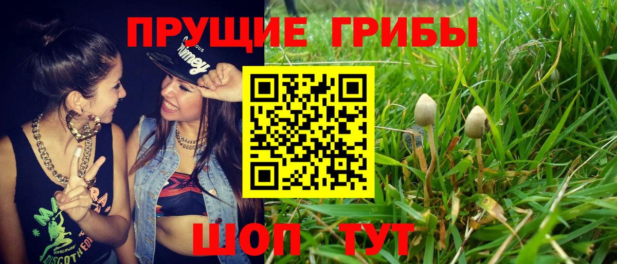 Псилоцибиновые грибы Psilocybe  где можно купить наркотик  Нефтеюганск  Вход с VPN 